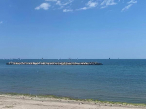 Marina By The Sea